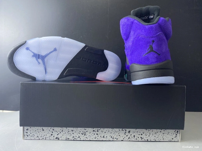 Retro Jordan 5 Air Alternate 136027-500 Grape 0811